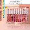 Lip Gloss Set, 9 Colours Nude Matte Lipsticks + 1