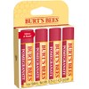 Burt's Bees Burt's Bees Lip Balm - Pomegranate, Lip Moisturizer