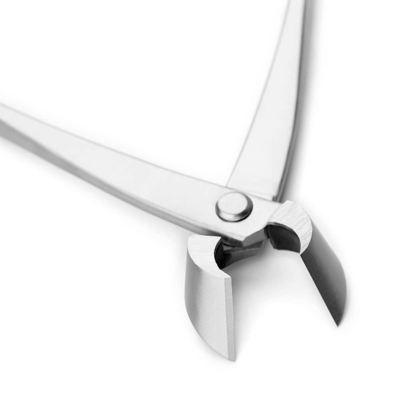 TianBonsai Bonsai Tools 205 mm Straight Edge Cutter Branch Cutter