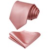 HISDERN Men's Wedding Ties and Pocket Square Tie Clip Set,