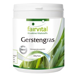 Fairvital Barley Grass Powder – High Dose – Vegan – 400 g – 1500 mg per Daily Dose – Pure Substance without Additives