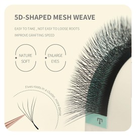 ANNAFRIS 5D Eyelash Extension, Premade Fan W D Curl, 11 mm, Pre-Fanned Ready-to-Use Fan Eyelash Extension, 5D Russian Volume Eyelash Extension, Cluster, Artificial Lash (0.07-D 11 mm)