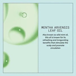 Nioxin Scalp Recovery System Scalp Soothing Serum 100ml