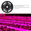 LED Grow Lamp Full Spectrum 3 Meters Dimming Induction Plant