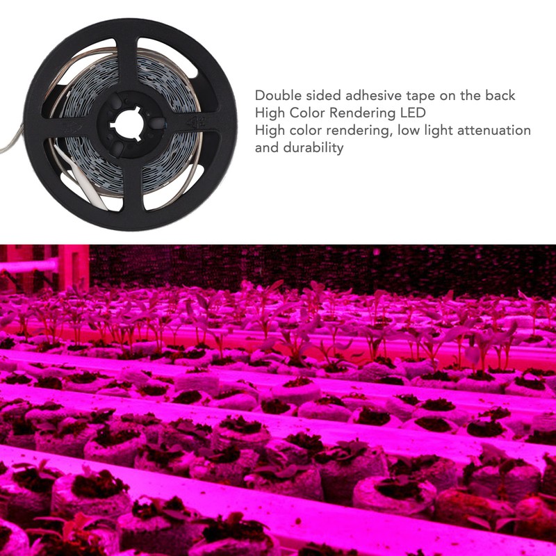 LED Grow Lamp Full Spectrum 3 Meters Dimming Induction Plant