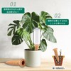 Pokmill Watering System, Set of 4, Automatic Water Supply for