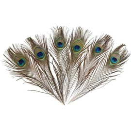 1pc Green New Peacock Feather Tail Family Room Wedding Living Room Party Decor Bed Tool Decoration Feather Craft Supplies