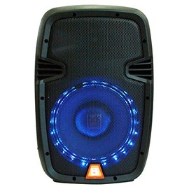 Mr. Dj PBX1859S 10" 2-Way Portable Passive Speaker with LED Accent Lighting