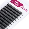 Eyelash Extension 5D W Prefabricated Individual Volume Eyelash Extensions Cluster