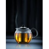Bodum ASSAM Tea Press, Permanent Filter, Glass Handle, 1.5 L/51