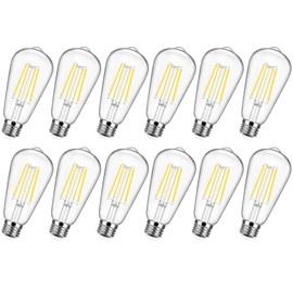 12-Pack Vintage LED Edsion Bulbs 100W Equivalent, E26 Base Bulb 8W 5000K