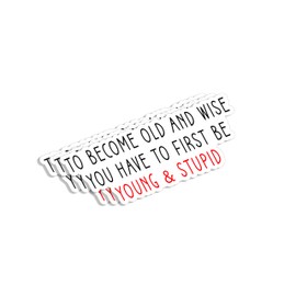 (3Pcs) to Become Old and Wise You Have to First Be Young and Stupid Sticker Inspirational Sayings Motivational Vinyl Decals for Tumbler Laptop Water Bottles Books Phone -Size 3x1.2 Inches