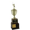 Golf Trophy - Perpetual Cup