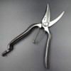 Tobitsuka Seikyosho Hisho Single Blade Bud Cutting Shears 200mm Gold