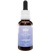 Australian Bush Flower Essences Caregiver 30 ml