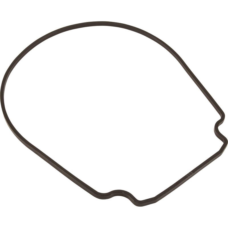 Pentair 357100 Black Seal Plate Gasket Replacement Pool and Spa