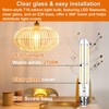 Vinaco 7.3 Inch E26 T10 Tube Bulb Dimmable, 6 Pack