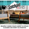 SCOTCHGARD CLEANER 14OZ