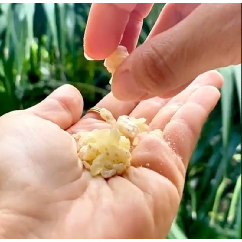 Handmade Glazed Clay Incense Burner Cup with Decorative Crown, Traditional