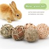 Episkey 6 Pcs Rabbit Chew Toys Natural Grass Ball Rabbit