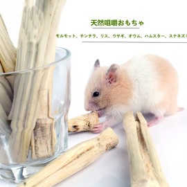 MUYYIKA Bunny, Hamster, Sweet Bamboo, Bite Wood, Hamster, Snack, Toothpaste, Teeth Stick, Degu Guinea Pig, Chinchilla, Birds, Rabbit, Squirrel, Stress Relief, For Small Animals, Pet Supplies (8.1 oz