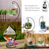 Ornament Display Stand,6 pack Air Plants Holder, Planter Terrariums Hanger,