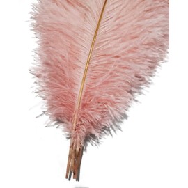 Happy Feather 16-18 inch Pink Ostrich Feathers Cratfs for Wedding Party Centerpieces Home Decoration DIY Craft Pack of 10
