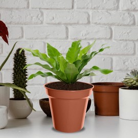 Whitefurze G04018 15cm Garden Pot - Terracotta (Set of 3)