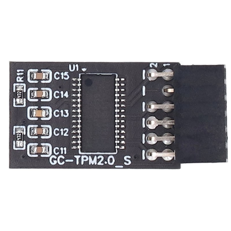 TPM 2.0 Module LPC SPI 12Pin Remote Card Encryption Security