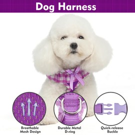 EXPAWLORER Cute Dog Harness Collar Leash Set - Purple Girl Dog Harness Checkered Step-in Design, Detachable Bow Pet Collar, Adjustable No-Choke Lightweight Mesh Vest for Cats Puppy Small Dogs, XS