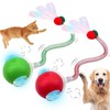 JinRui-T 2 PCS Interactive Cat Toy Rolling Ball with Tail