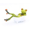 Formano Frog in Bath