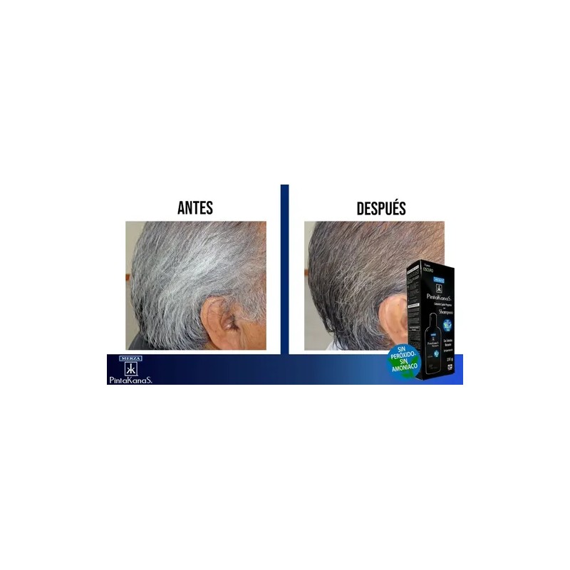 Shampoo Pintakanas 4 Piezas Sin Peroxido Ni Amoniaco