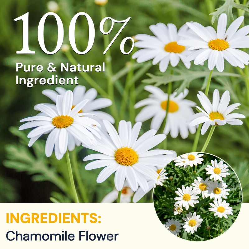 Chamomile Tea Bags, Chamomile Flower Herbal Tea - Sugar-Free, Caffeine-Free,