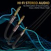 1/8 to Dual 1/4 Stereo Cable 8 Feet (2 Pack),