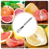 Lemon Peeler Tool | Slicer Cutter Orange Citrus Peelers |