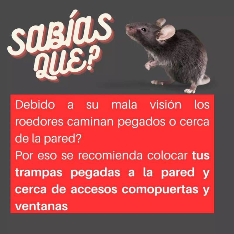 Nu Labs Trampa Para Ratones Ratas De Golpe Reutilizable Sensible