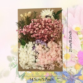 Cayway Dried Flower Dry Plants, Dried Flowers for Aromatherapy Candle, Real Dried Pressed Leaf Flowers for Candle Resin Jewelry Pendant Crafts Floral Decoration