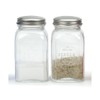 RSVP Retro Clear Glass Salt and Pepper Shaker Set
