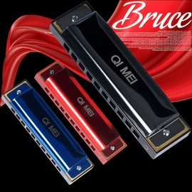 Blues Harmonica 10/24 Hole Stainless Steel C-Tone Airtight Beginner Set Case (Jewel Blue, 10 Holes)