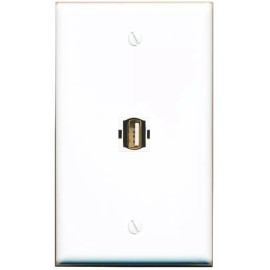 Wall Plate City 1 Port Black Jack Face Plate Cover Wire Cable 1 Gang USB2 Wall Plate [White]