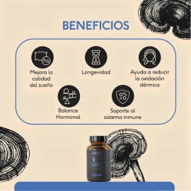 Suplemento Nutricional Cápsulas Veganas Hongo Reishi Quenut Sin Gluten                                                                                