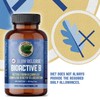 Pure Lab Vitamin | Slow Release Bioactive B Complex |