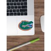 Big Lens store Florida Gators Stickers (3 Pcs/Pack)