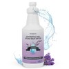 Steam & Go Demineralized Water for Steam Cleaner - PVC-Free
