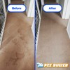 Generic Peebuster Pet Stain & Odor Remover - Cleaning Spray