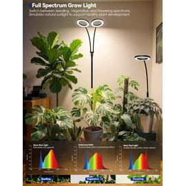 GLOWRIUM Grow Lights for Indoor Plants, Full Spectrum LED Grow Light Floor Lamp with Stand Adjustable Height and Angle, Black Plant Light with 3/9/12H Grow Light Timer (Black, 20W)