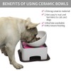 WZ PET Raised Ceramic Dog Feeding Bowl,Adjustable Elevated Dog Bowls