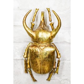 Ebros Gift Medium Gold Resin 3 Horned Rhinoceros Beetle Wall Decor Or Tabletop Figurine