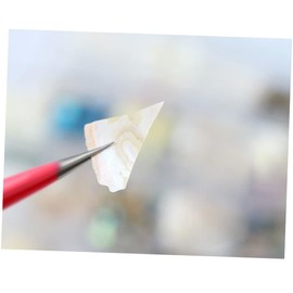 TOVINANNA Natural Shell Flake Nail Art Decoration Set 2pcs High Gloss Manicure Accessories for Creative Nail Designs